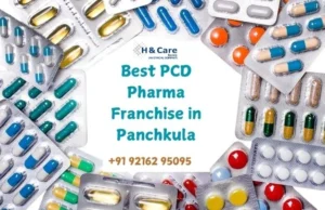 Best PCD Pharma Franchise in Panchkula